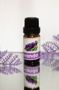 ESENCIA LAVANDA RELAJANTE (10ml)